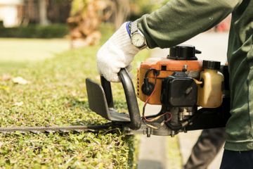 Photo of brush clean-up in progress